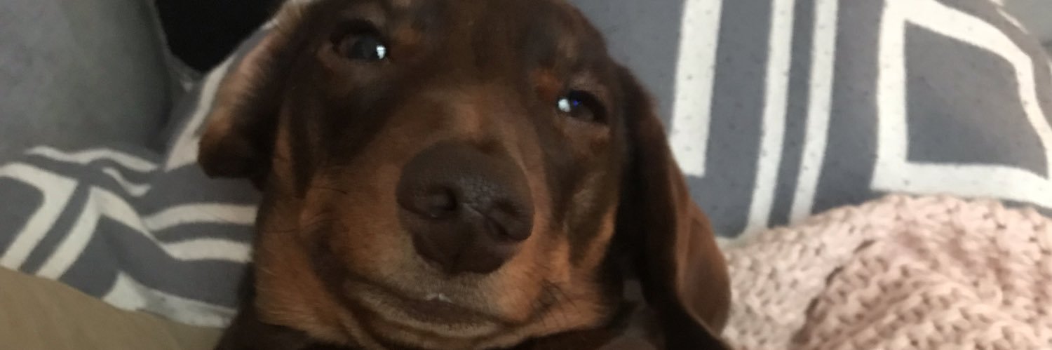 chrystiread's profile banner image
