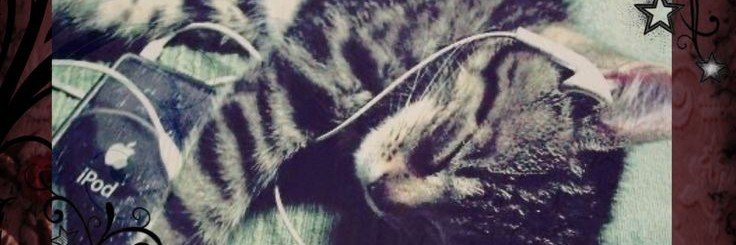 Hannah_787g's profile banner image