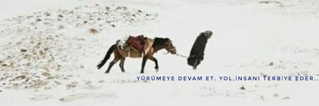 evrennas's profile banner image
