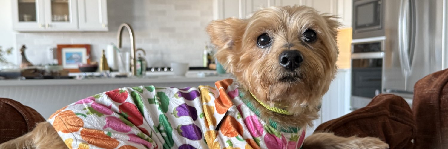 Recoveringattorney banner