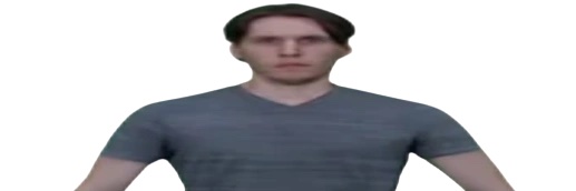 evil green bagelholeman's banner