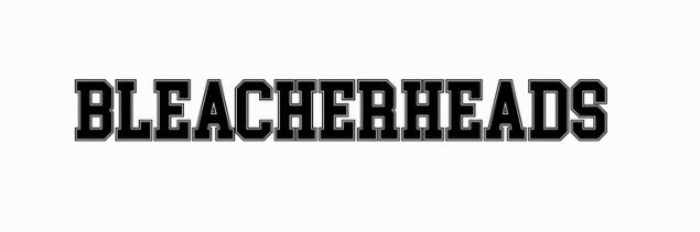 bleacherheads banner