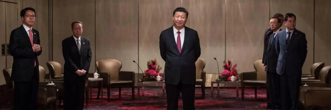 Zergo | Scripter banner