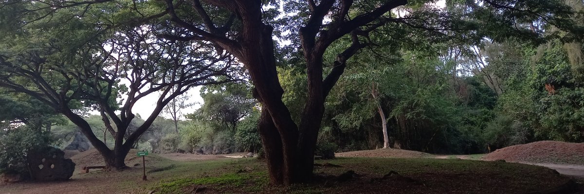 _Hcitor's profile banner image