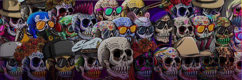 Skulldent banner