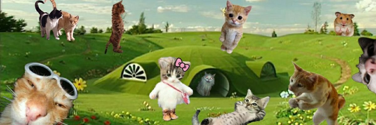 🦊 banner