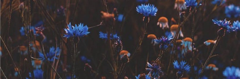 fatimahurt's profile banner image