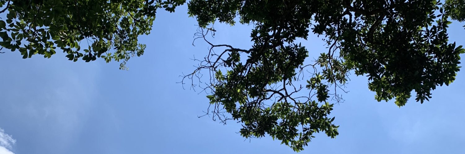 kevin82456's profile banner image
