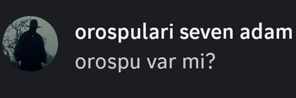 gökçe kaltakkıran banner