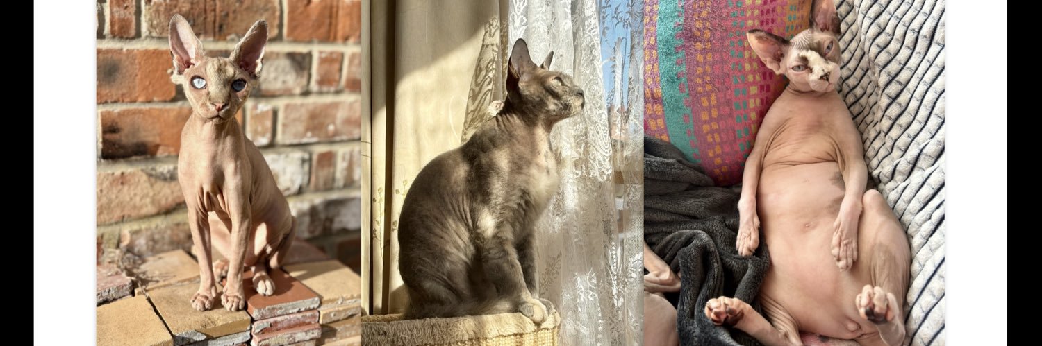 Mandie🏴󠁧󠁢󠁥󠁮󠁧󠁿🇬🇧 banner