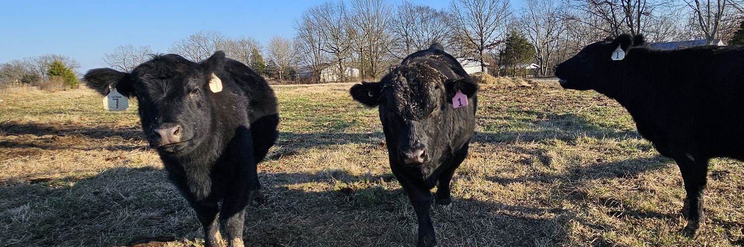 S.R. Wilson 🦅 banner