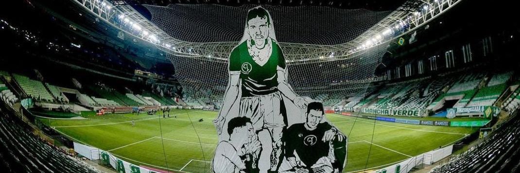 PCZ 🏆🏆🏆🐷💚ⓟ banner