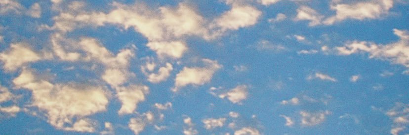 y banner