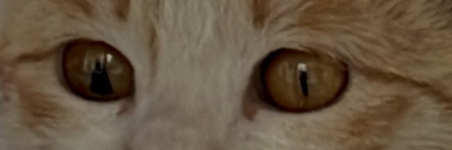 firoka_'s profile banner image