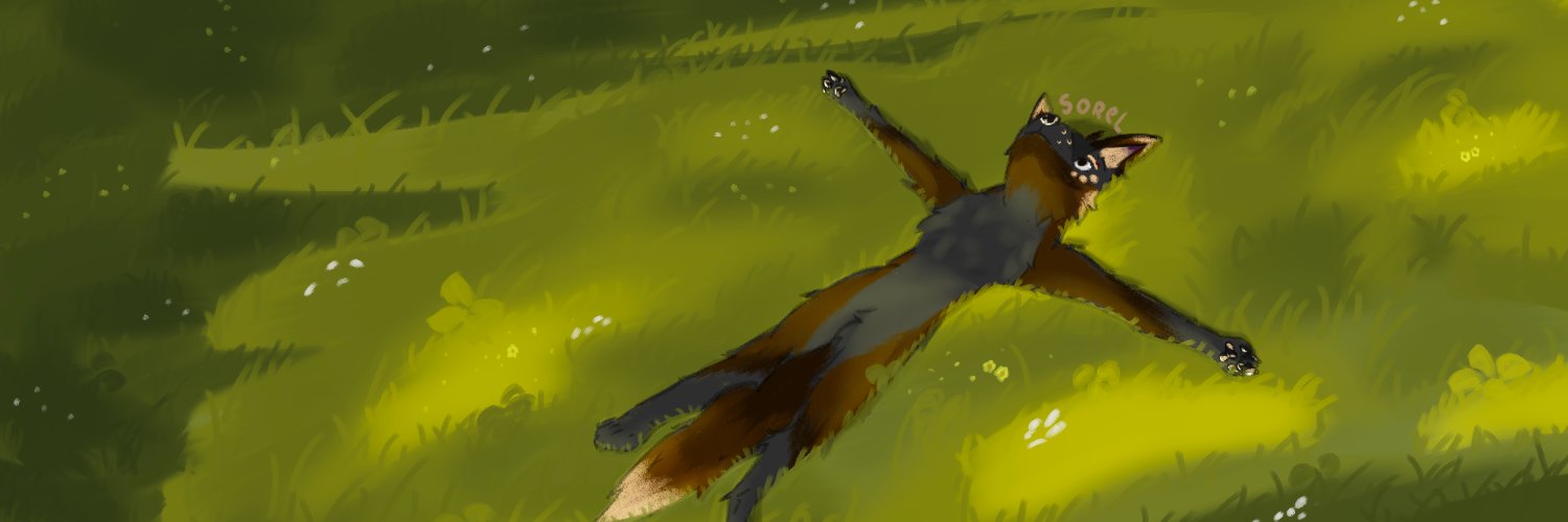 SorelArts's profile banner image
