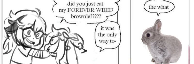 🐇kazu’s bunny banner