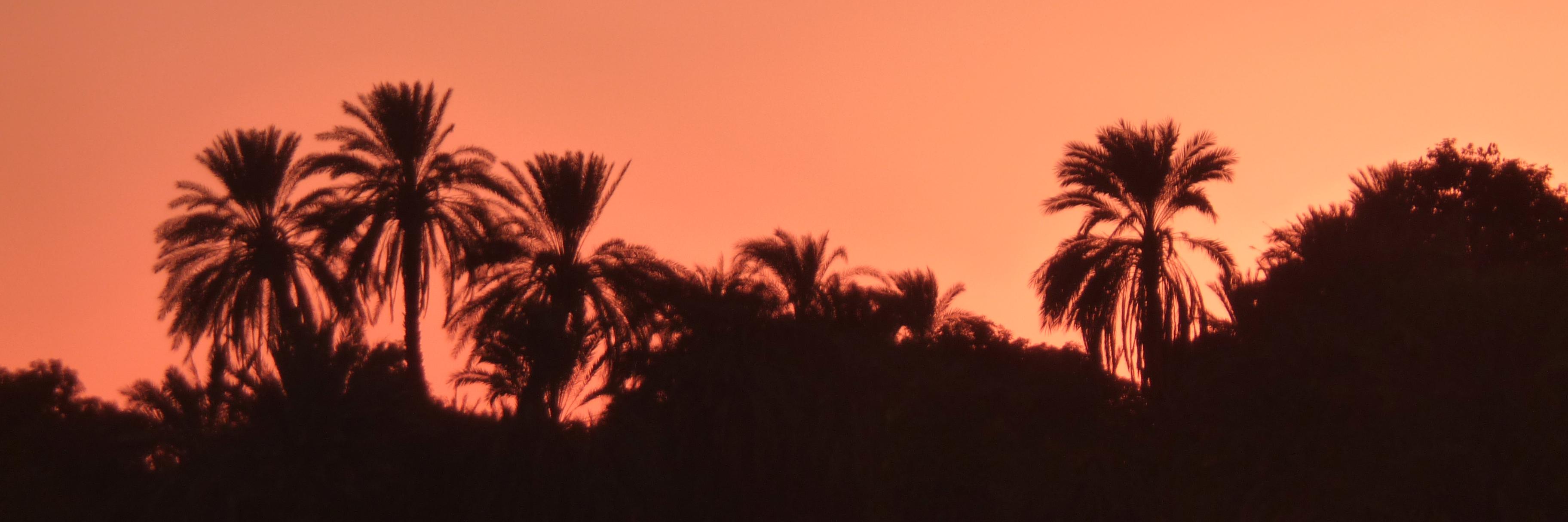CorySteinhauer's profile banner image
