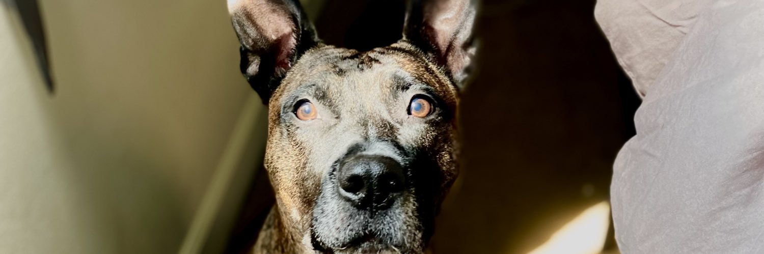 GuyTye's profile banner image