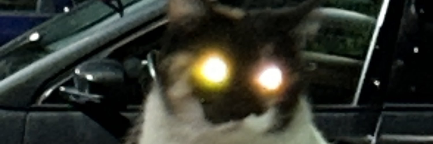 axntonio___ banner