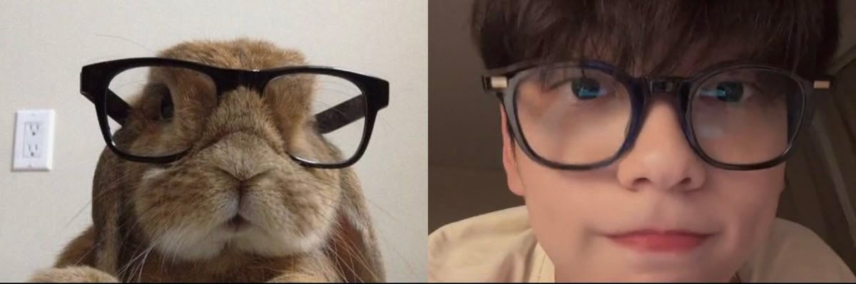 monigybn's profile banner image