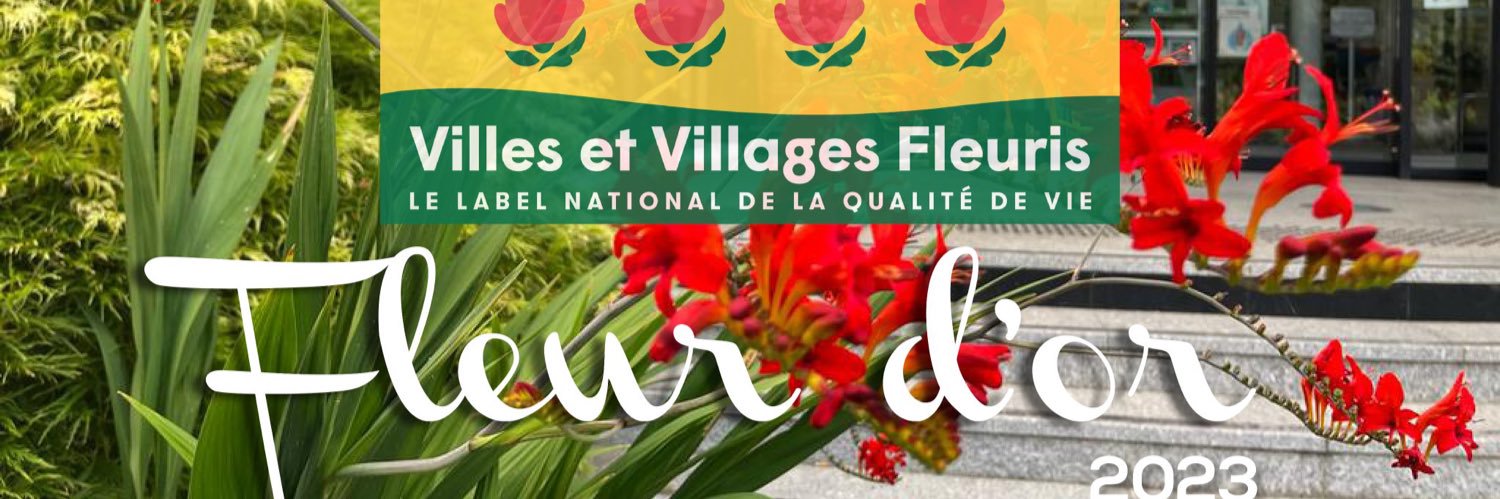Jean-Bernard MOREL banner