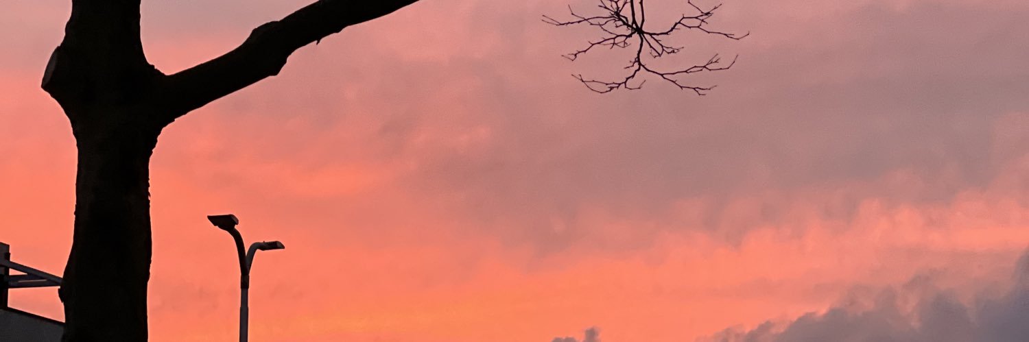 roelfaasen's profile banner image