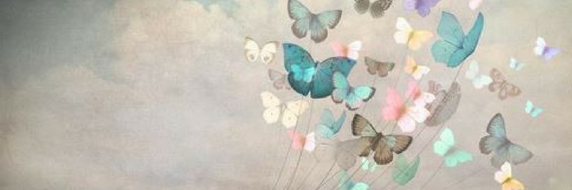 Maya Mason banner