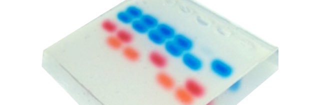 discoveringdna's profile banner image