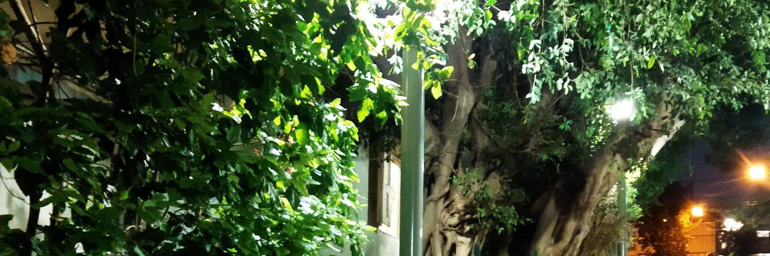 efratw's profile banner image