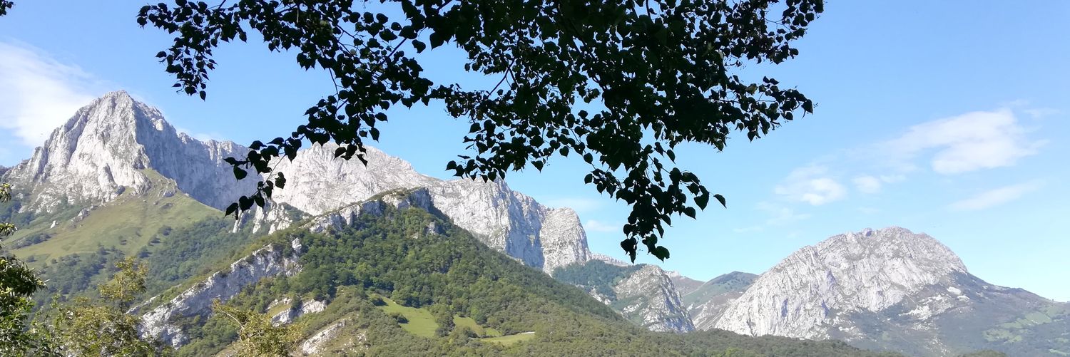 DanielBorlan's profile banner image