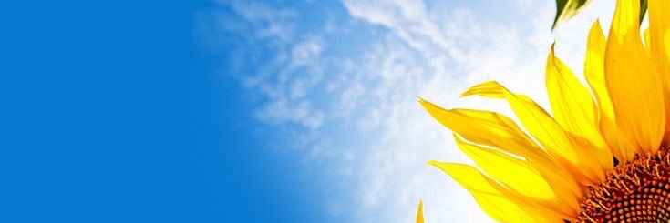 Ravi ☀️ banner