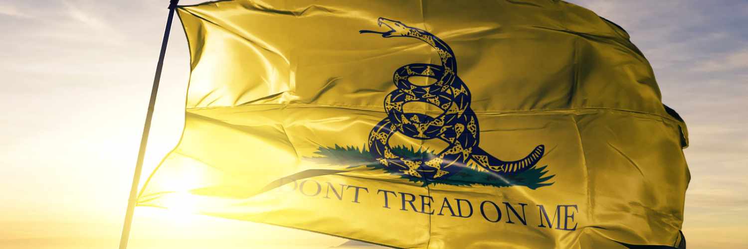 Meagan Johnson banner