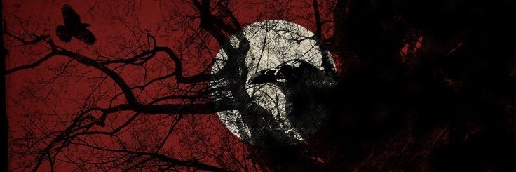 Aleey Louis banner