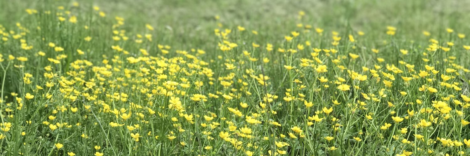 Cynthia Kelly banner