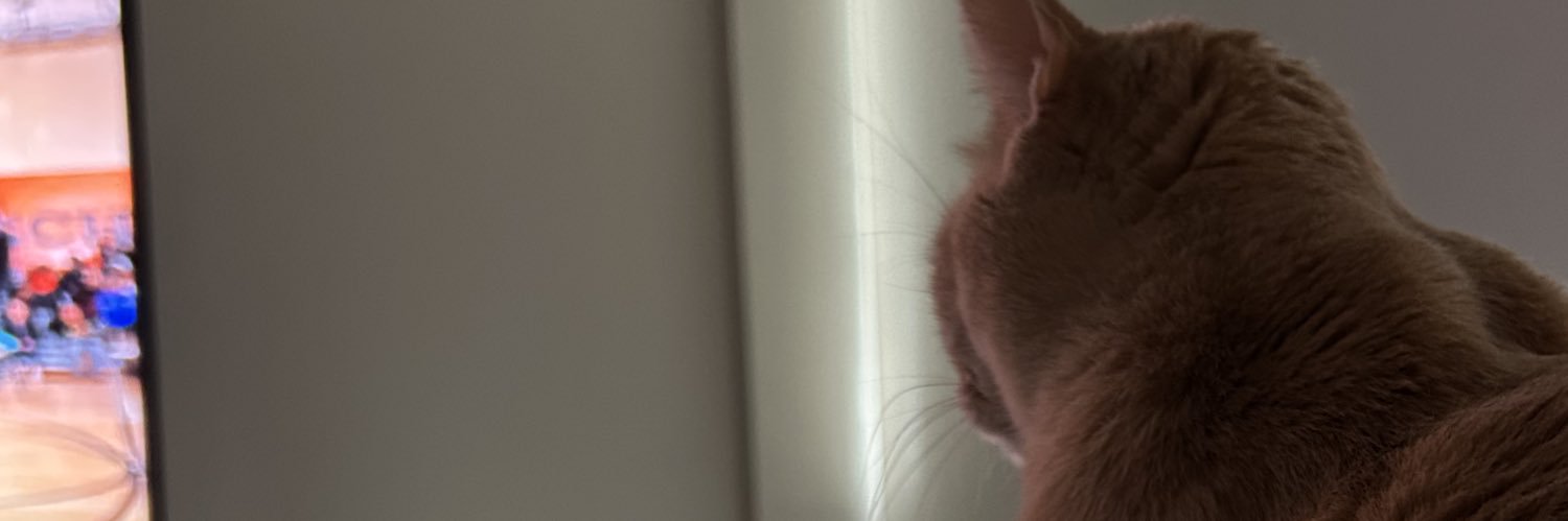 d06969458111's profile banner image