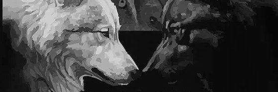 tc_Ayhan's profile banner image