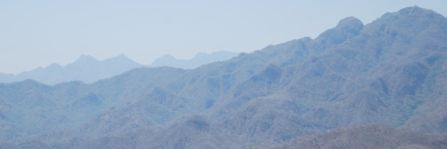 MercadoMinerals's profile banner image