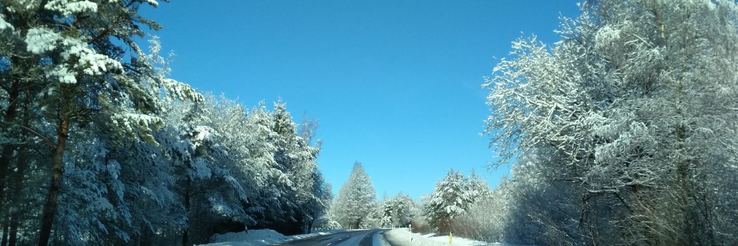 Liis 'Apanthrope' P banner