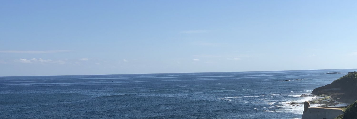 ireri555's profile banner image