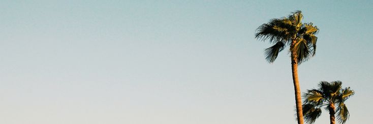 hab££b's banner