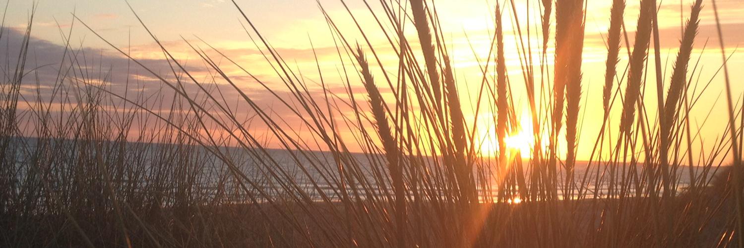 AlisonBush17's profile banner image