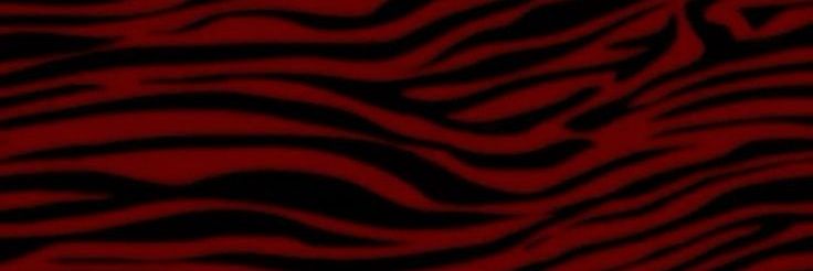 Venus banner