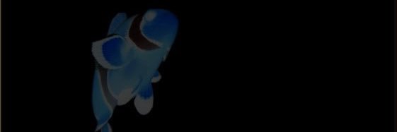 clownphish's profile banner image