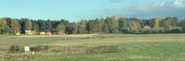 Business639416 Profile Banner