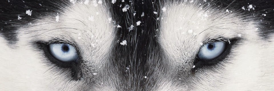 aabethonico's profile banner image