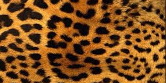 RaniaAEK's profile banner image