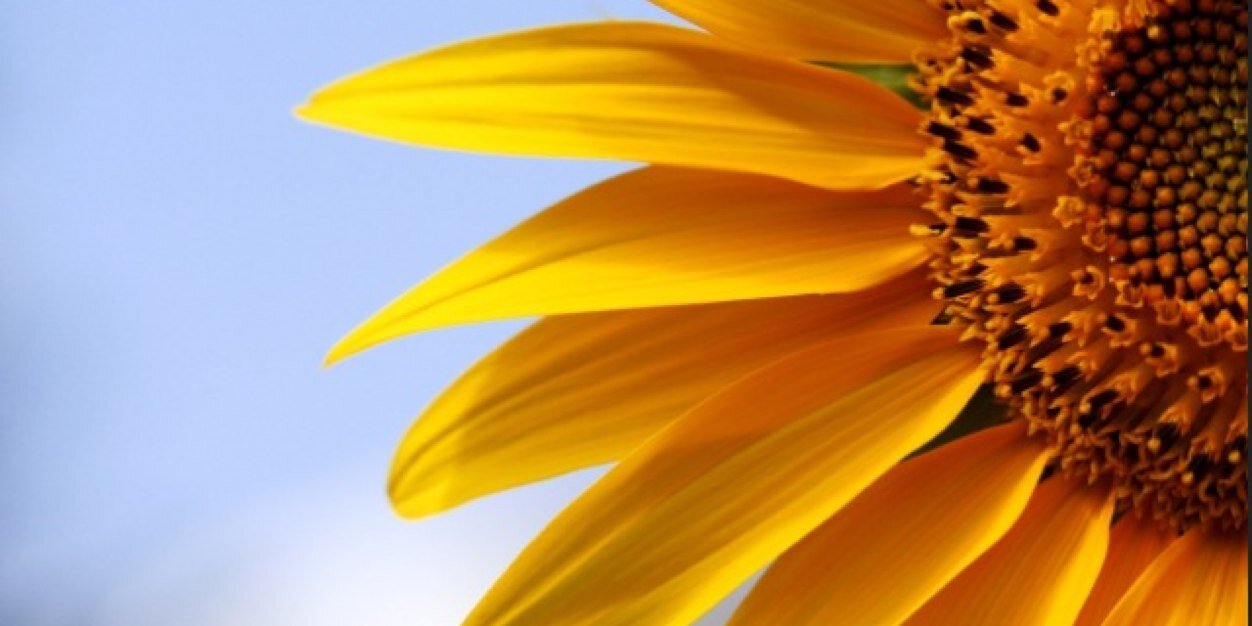 deborah_luna's profile banner image