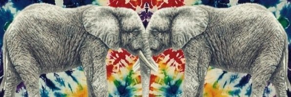Emuhlee24's profile banner image