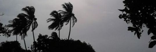 Vitto Emmanuelle banner
