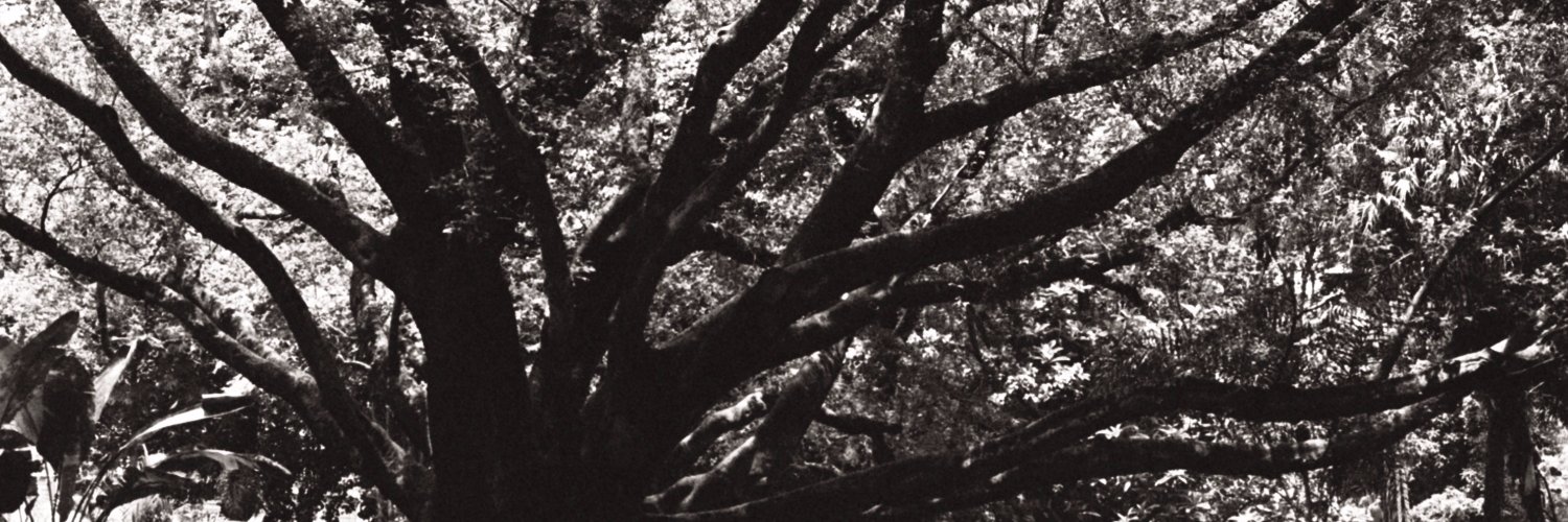 jdeoliveira's profile banner image